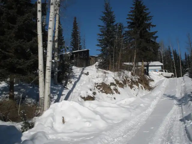 Home For Rent - Wells Gray Park in Long Term Rentals in Kamloops - Image 16