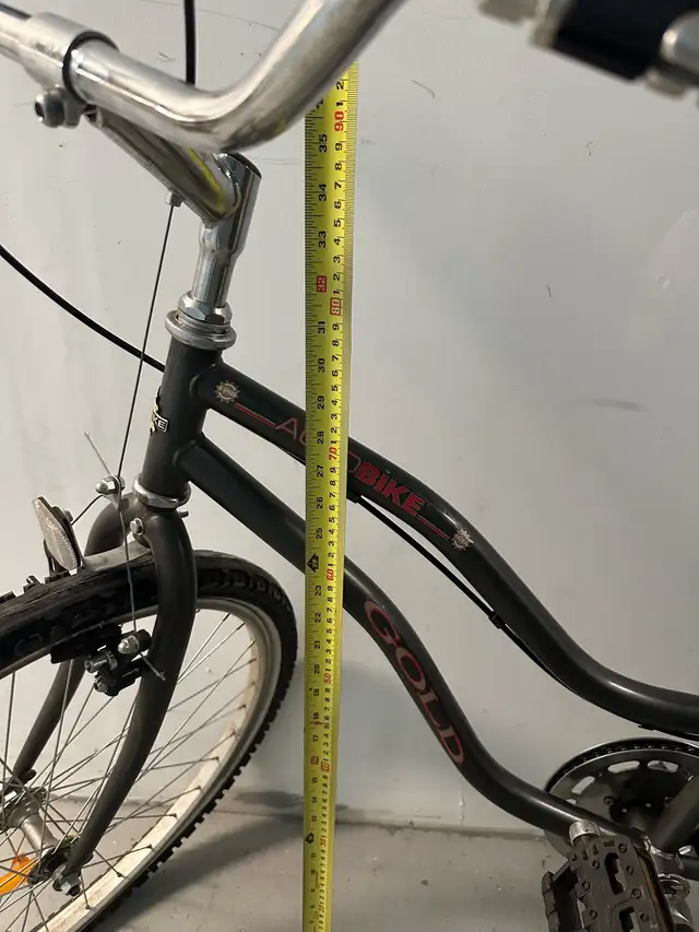 Raleigh Bicycle477289859441633289