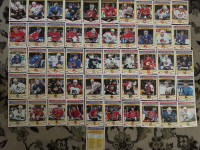 CARTE DE HOCKEY 1993-94 PANINI HOCKEY - DURIVAGE COMPLETE SET