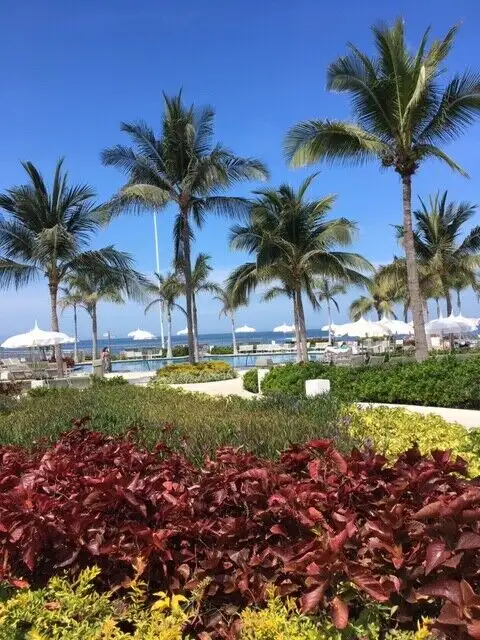 Mayan Palace/Grand Mayan/Grand Bliss in Mexico-various cities in Mexico in Canada - Image 5