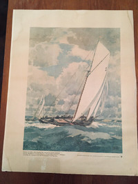 Bluenose Schooner Print