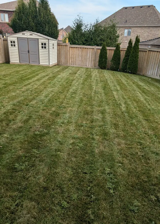 LAWN CARE SERVICES STARTING AT $3562863713700354122