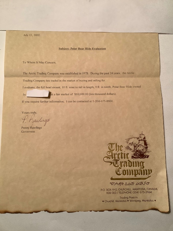 Polar bear skin/rug…immaculate condition. All original paperwork