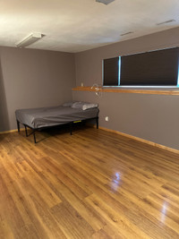 Larg Basement Room for Rent