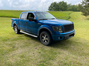 2010 Ford F 150 FX4