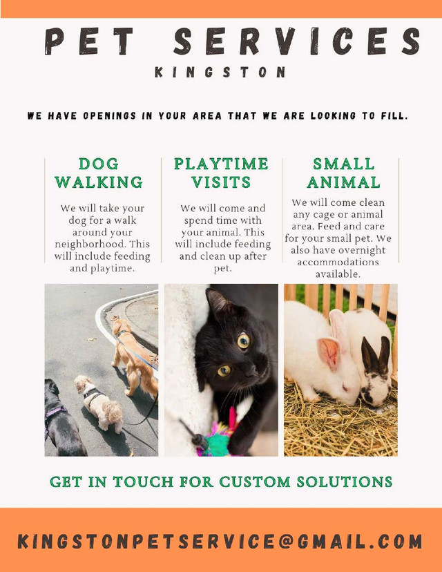 Pet services in Animal & Pet Services in Kingston