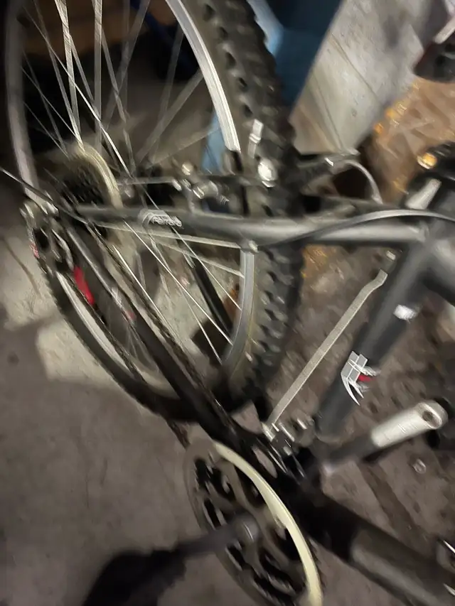 bicycle brand in Road in Markham / York Region - Image 4