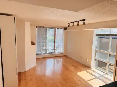 Spacious DOWNTOWN 2 bedroom condo for rent