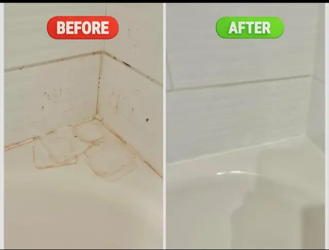 Cleaning lady -Flat Rates607293957378549762