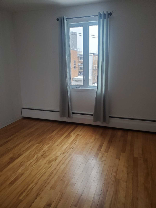 Chambre à louer  dans Chambres à louer et colocs  à Longueuil/Rive Sud - Image 4