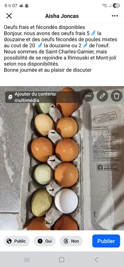 Oeufs frais et fécondés, View more