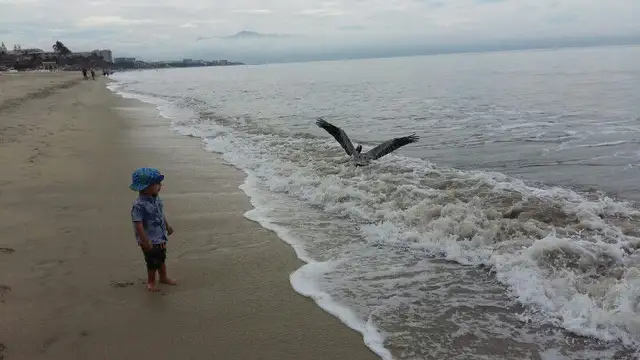 Beach front condo, Nuevo Vallarta in Mexico in Canada - Image 4