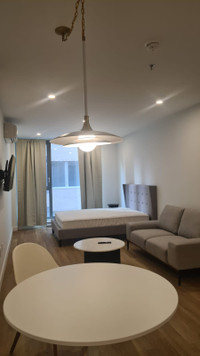 Furnished Studio for rent - 1st July - Guy-Concordia