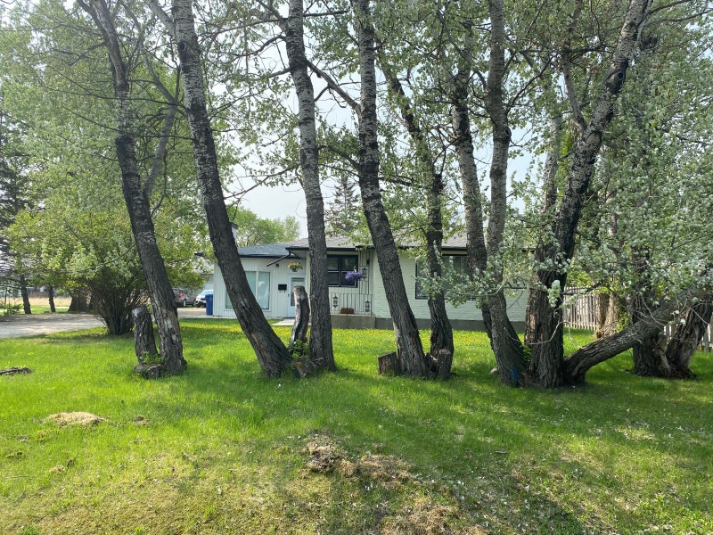 Beautiful Bungalow in Charleswood! Long Term Rentals Winnipeg Kijiji