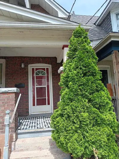 Looking for a place to call home?