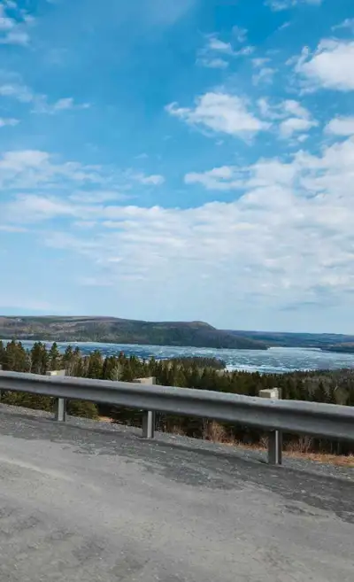 Hi there. I am a 30 year old male. Very reliable and hard working. I drive as well. I have experienc...
