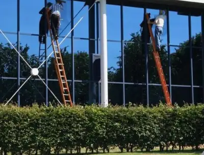 OFFICE WINDOW TINTING WE INSTALLED , View more