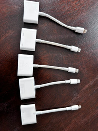 Apple Lighting to HDMI adapter for tv.