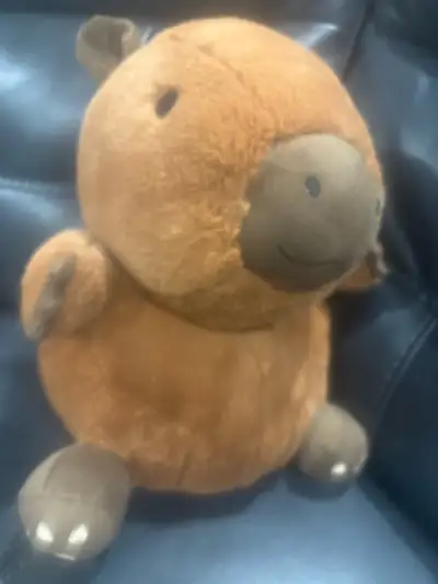 cute capybara plushie, View more