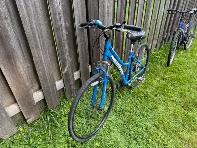 Bikes for Sale - 100 each or BEST OFFER, View more