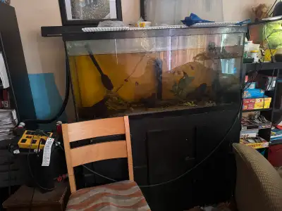 90 gallon seapora standard aquarium Custom made stand Fluval Fx4 canister filter system Heater Sand/...