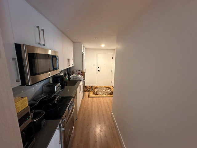 One bedroom apartment for rent in Quebec City dans Locations longue durée  à Ville de Québec - Image 3