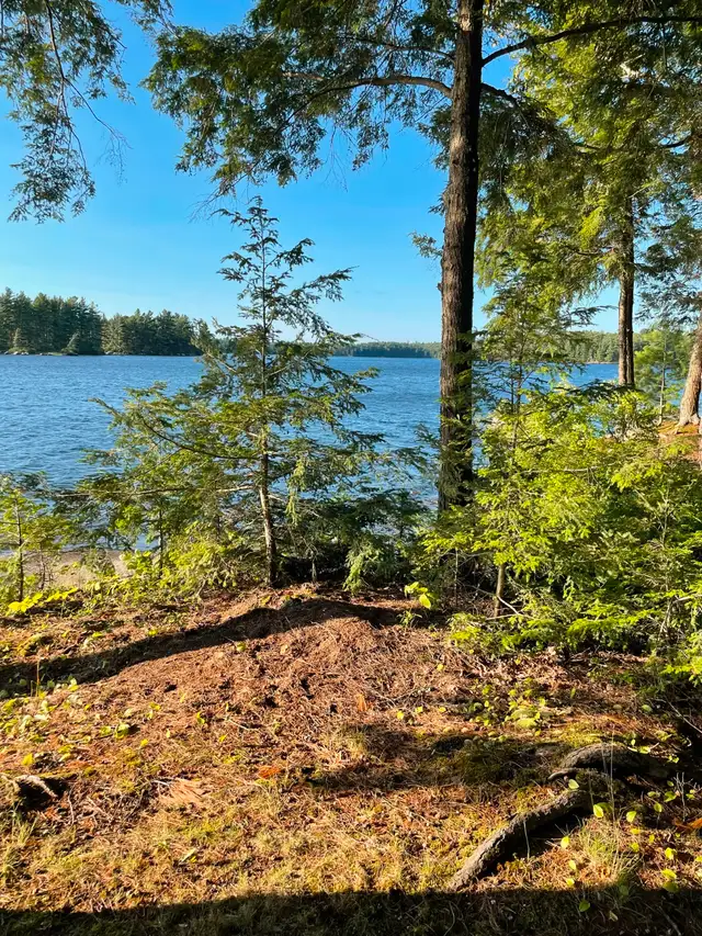 Large Cottage Rental Eagle Lake ON - Waterfront Dates Avail in Ontario in Canada - Image 9