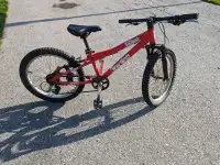 Gt stomper 20" mountain bike 