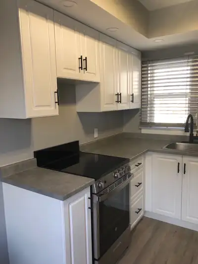 1 Bedroom Bachelor/Studio Apartment - Newly Renovated &