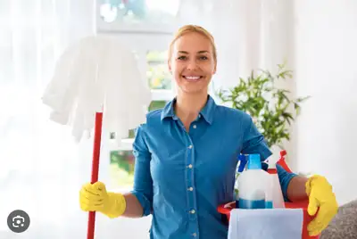 Cleaner Needed, View more