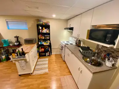 Spacious Bright 1-Bedrm All Inclusive Near Algonquin