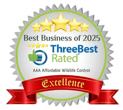 Affordable Raccoon Removal Cost Brampton, View more