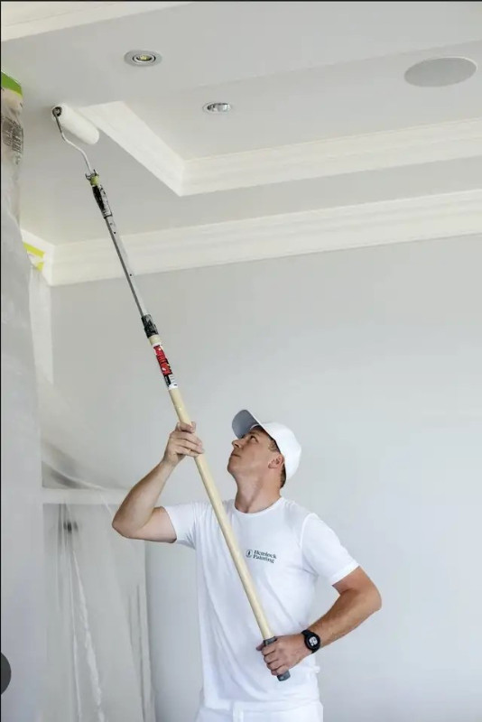 Pro painter for less in Painters & Painting in Edmonton