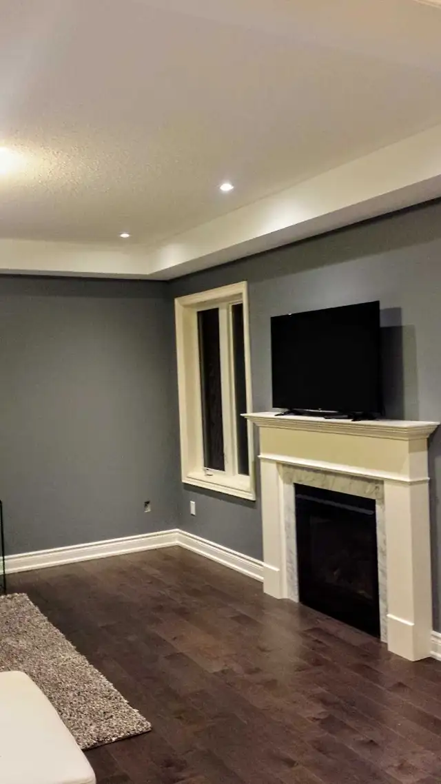 mover/painter/handyman 64840284850306122