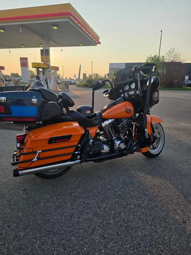 riding partner 513527435284992000