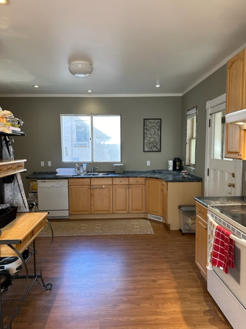 5 BEDROOM STUDENT HOUSE for SEPTEMBER 2026 in Long Term Rentals in Kitchener / Waterloo - Image 6