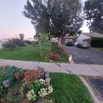 Parking spot available on a private driveway in Meadowvale, Mississauga. For Sedan or SUV. Rent :$12...