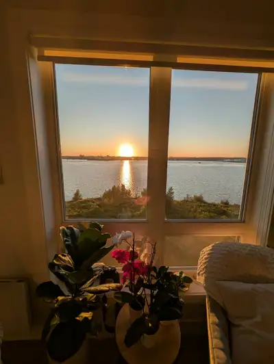 Looking for mature person to sublet our fully furnished modern apartment on the waterfront. Incudes...
