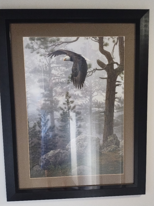 Two eagle pictures in Arts & Collectibles in Sault Ste. Marie