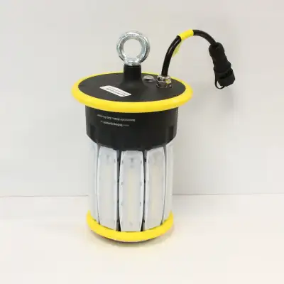 (N68038-1) Lind Equipment Work Light, View more