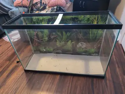 45 gallon tank , View more