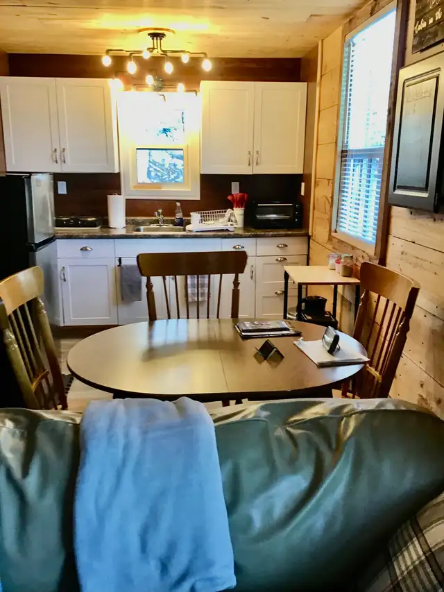 Cozy cabin in the woods in Ontario in Canada - Image 5