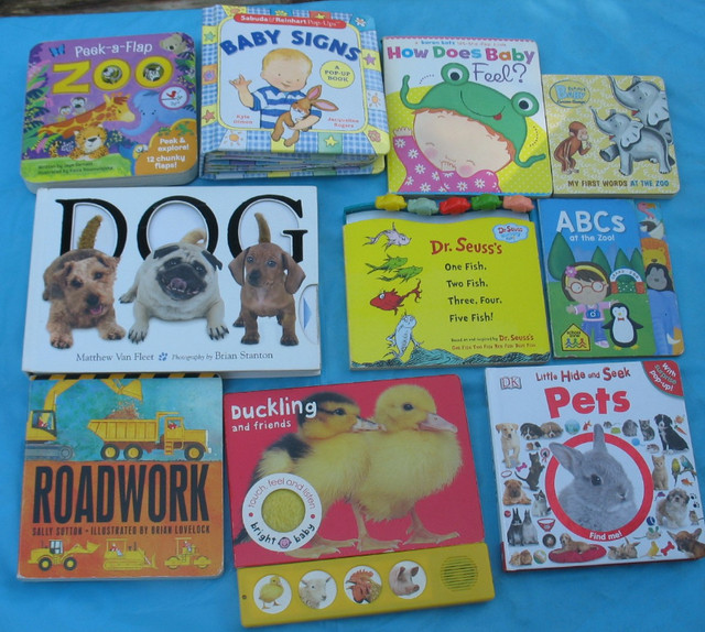 Board Books for the PreK/ Primary/Jr Reader in Other in Norfolk County - Image 2