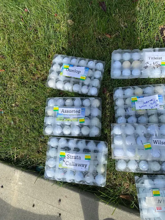 Assorted Golf balls -  Topflite, Pinnacle, Titleist, Nike,541618094138337285