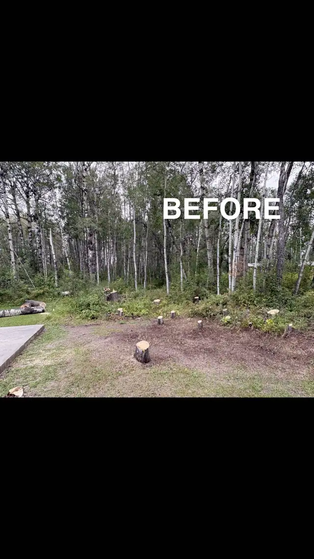 Mulching. Stump removal. Skid Steer services.572866413955000325