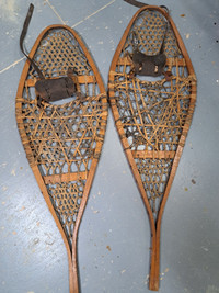 Snowshoes 
