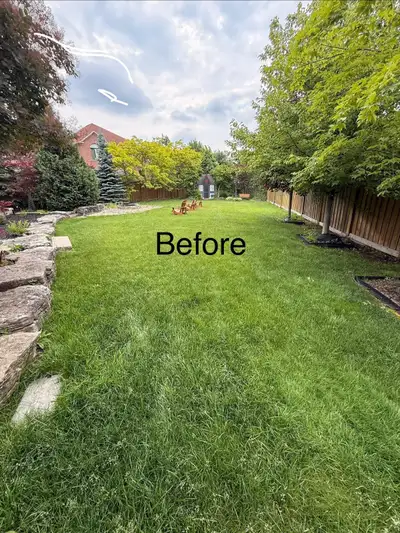 Landscaping & Lawn Care Services | Grass Cutting | Yard Clean-Up, View more