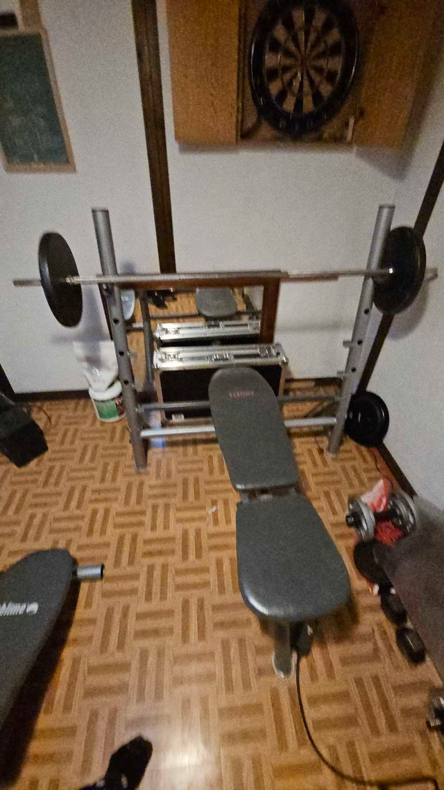 Bench, 1"bar, 100lbs Canadian iron plates in Exercise Equipment in Ottawa