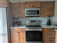 Kitchen Cabinets and Countertops ( Granite)