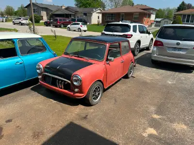 Read the ad fully Selling my rolling shell 1979 Austin mini, Currently has Honda swap and fuel cell...
